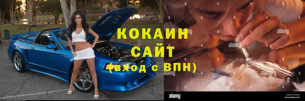 прущие грибы Володарск
