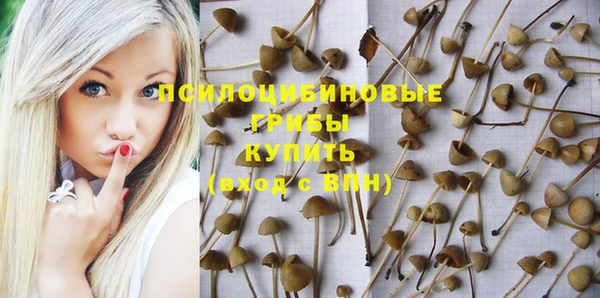 ECSTASY Волосово